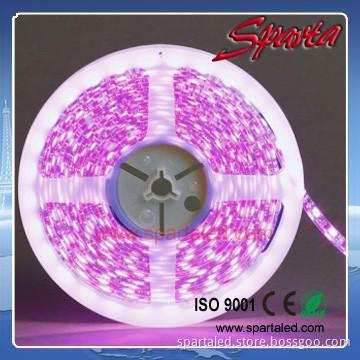Super brightness Non-waterproof SMD5050 60leds/m LED strip light